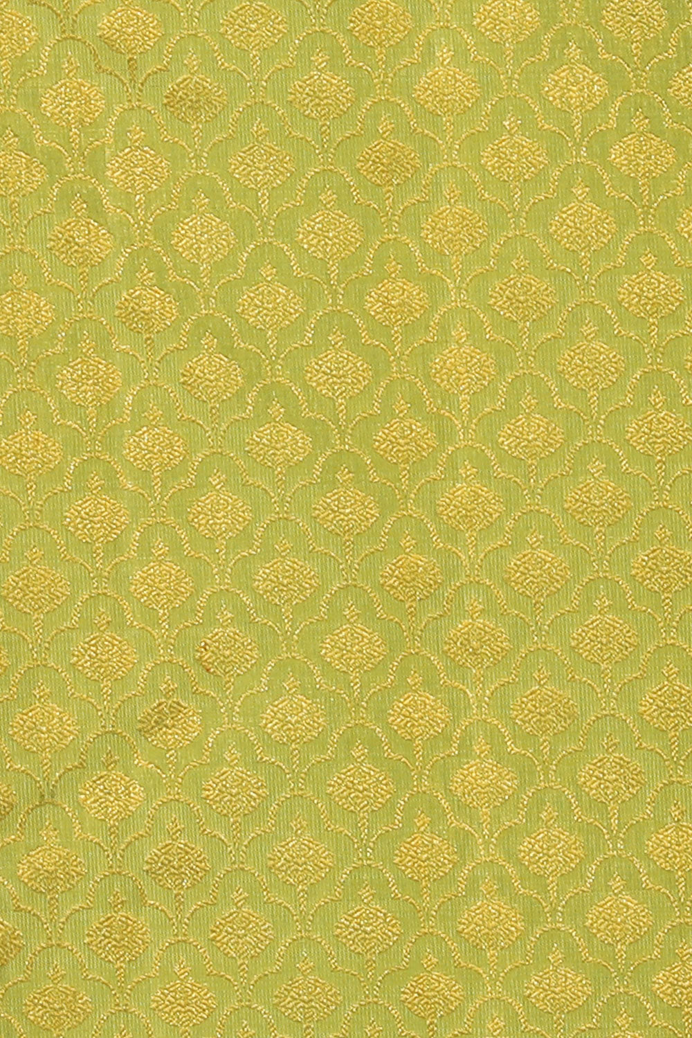 Collection of Arani Silk Brocade Green Saree in a gallery layout