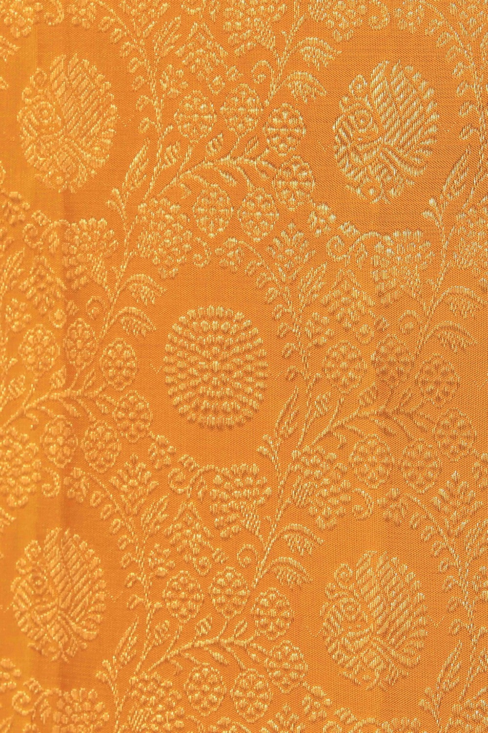 Image of Kanchipattu Brocade Mustard Saree
