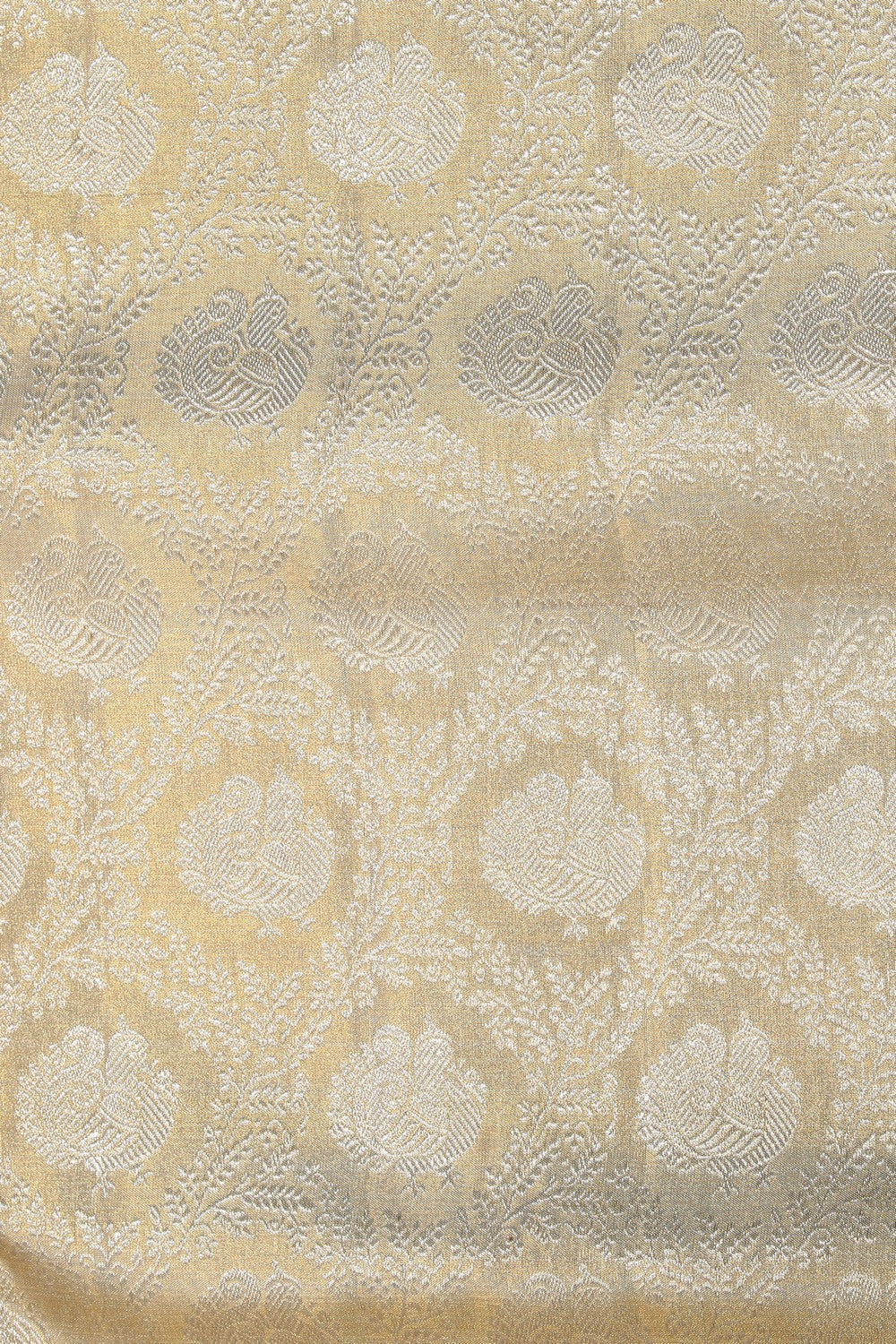 Collection of Kanchipattu Brocade Off-White Saree in a gallery layout