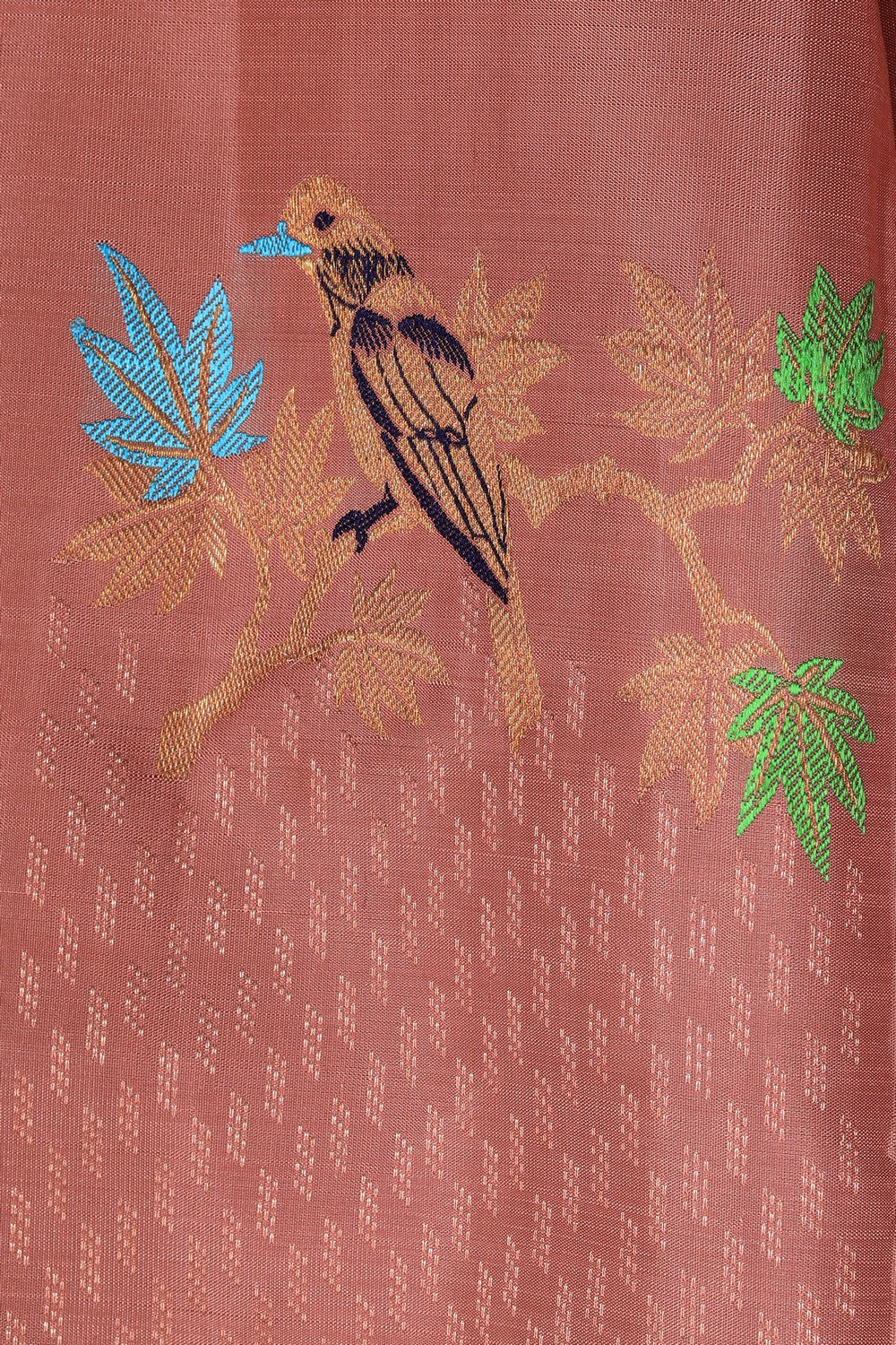 Image of South Silk Brown Saree