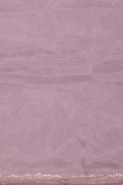 Image of Organza Tissue Embroidery Saree