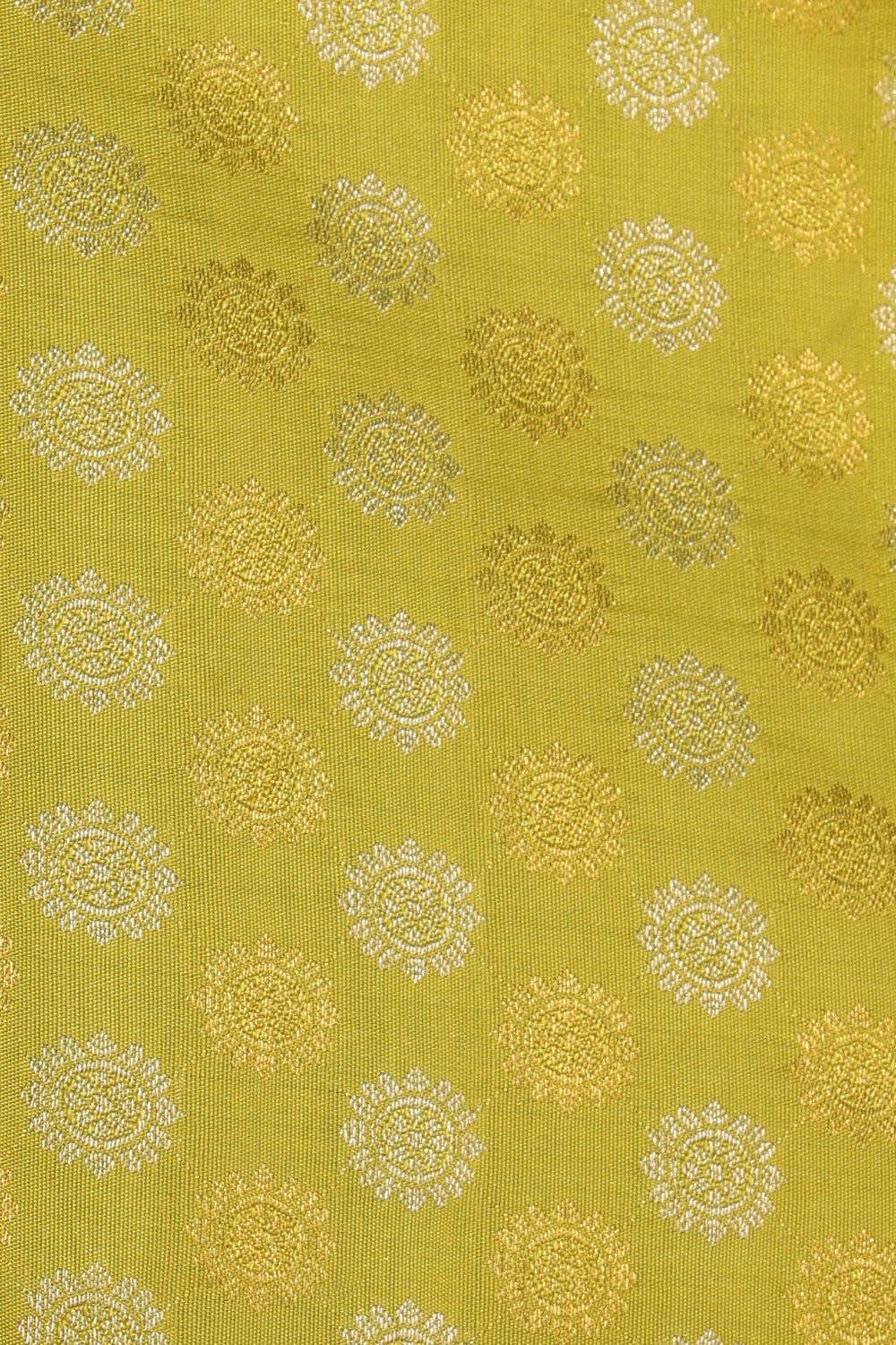 Image of Kanchipattu Brocade Spring Green Saree