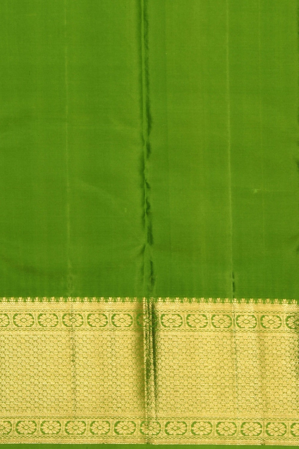Image of Kanchipattu Brocade Spring Green Saree