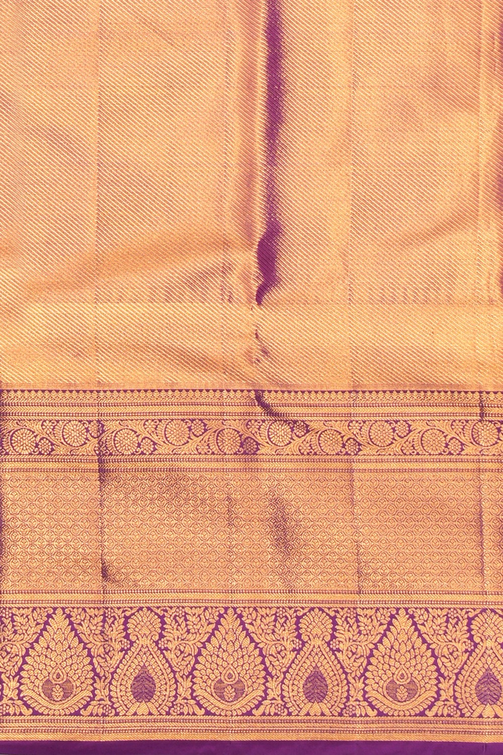 Kanchipattu Tissue Brocade Saree