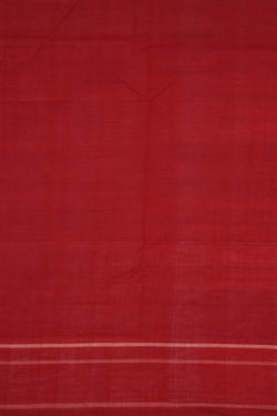 Image of Pochampally Ikat Cotton Saree