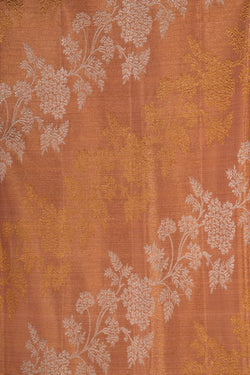 Image of Rangkat Brocade Kanchipattu Peach Saree