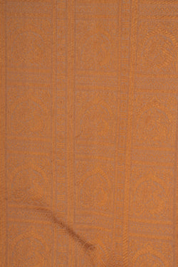 Image of Kanchipattu Brocade Off-White Saree