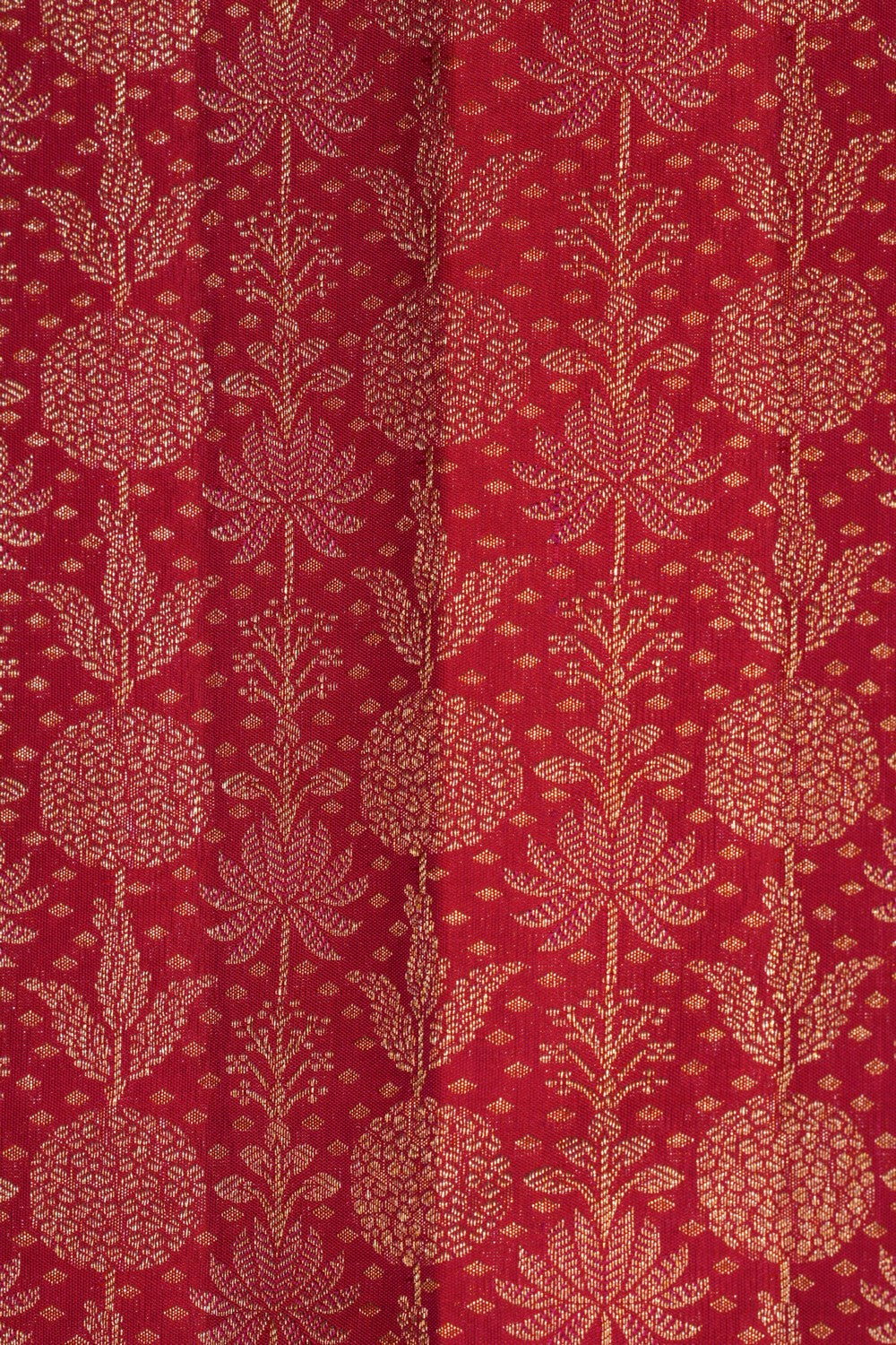 Image of Kanchipattu Brocade Fuchsia Pink Saree