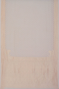 Image of Banarasi Chiffon Off-White Saree