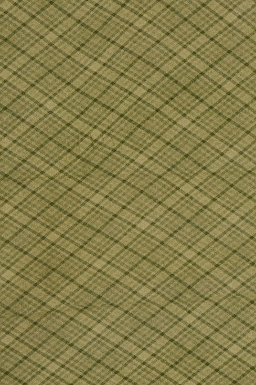 Image of Banarasi Silk Saree