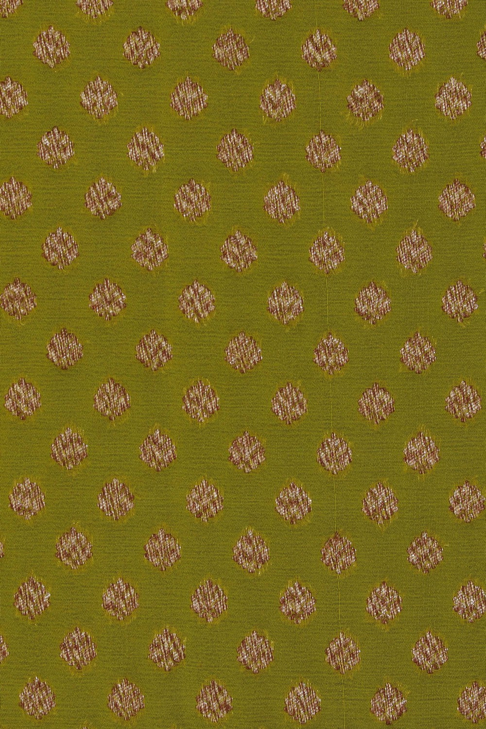 Image of Banarasi Chiffon Green Saree