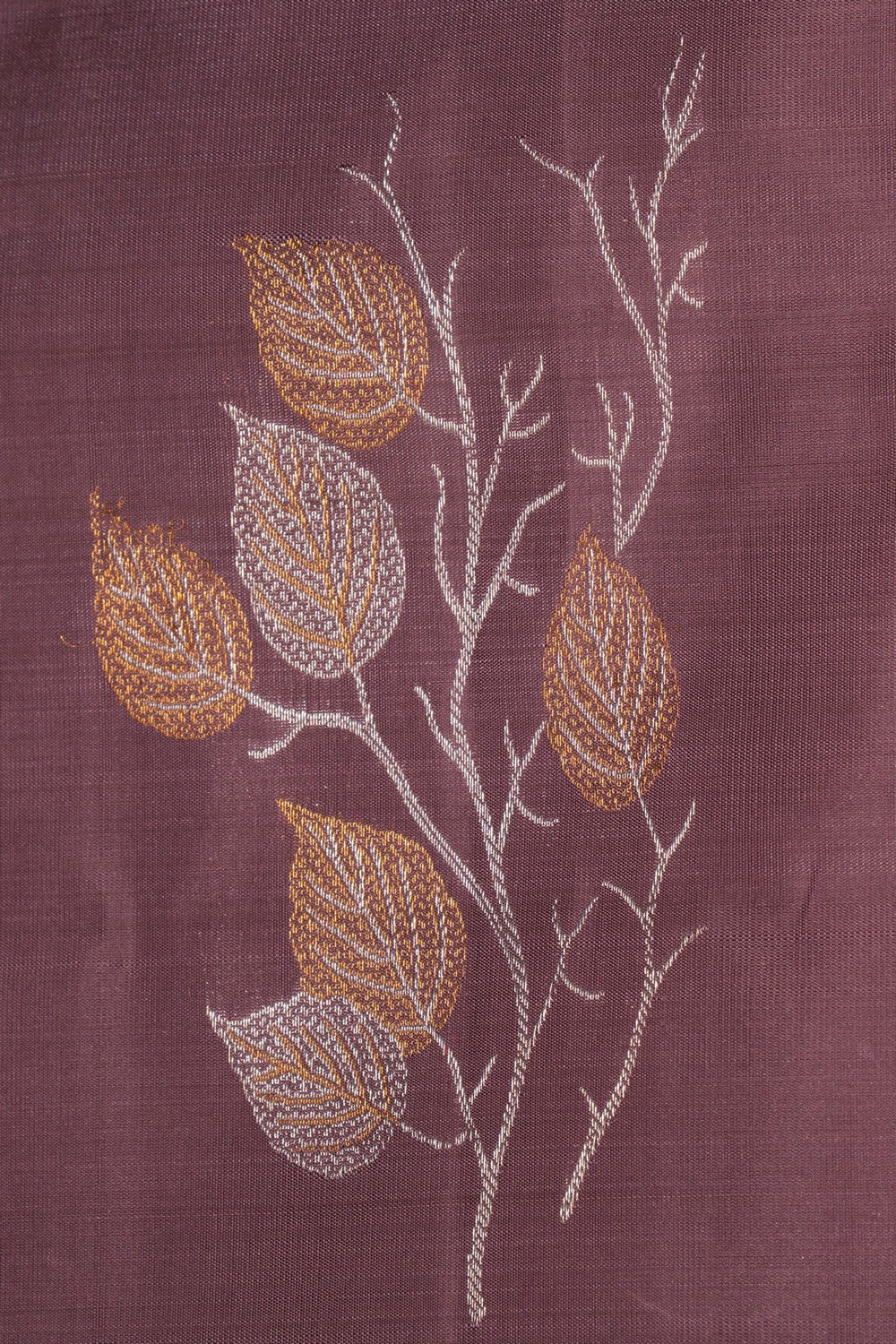 Kanchipattu Brown Saree