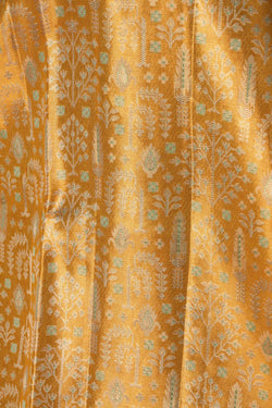 Image of Kanchipattu Gold Tissue Brocade Saree