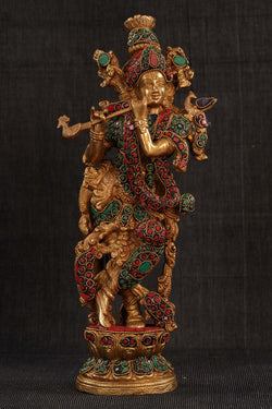 Image of 1212397229