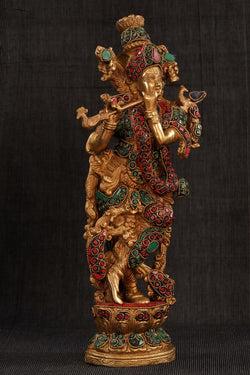 Image of 1212397229
