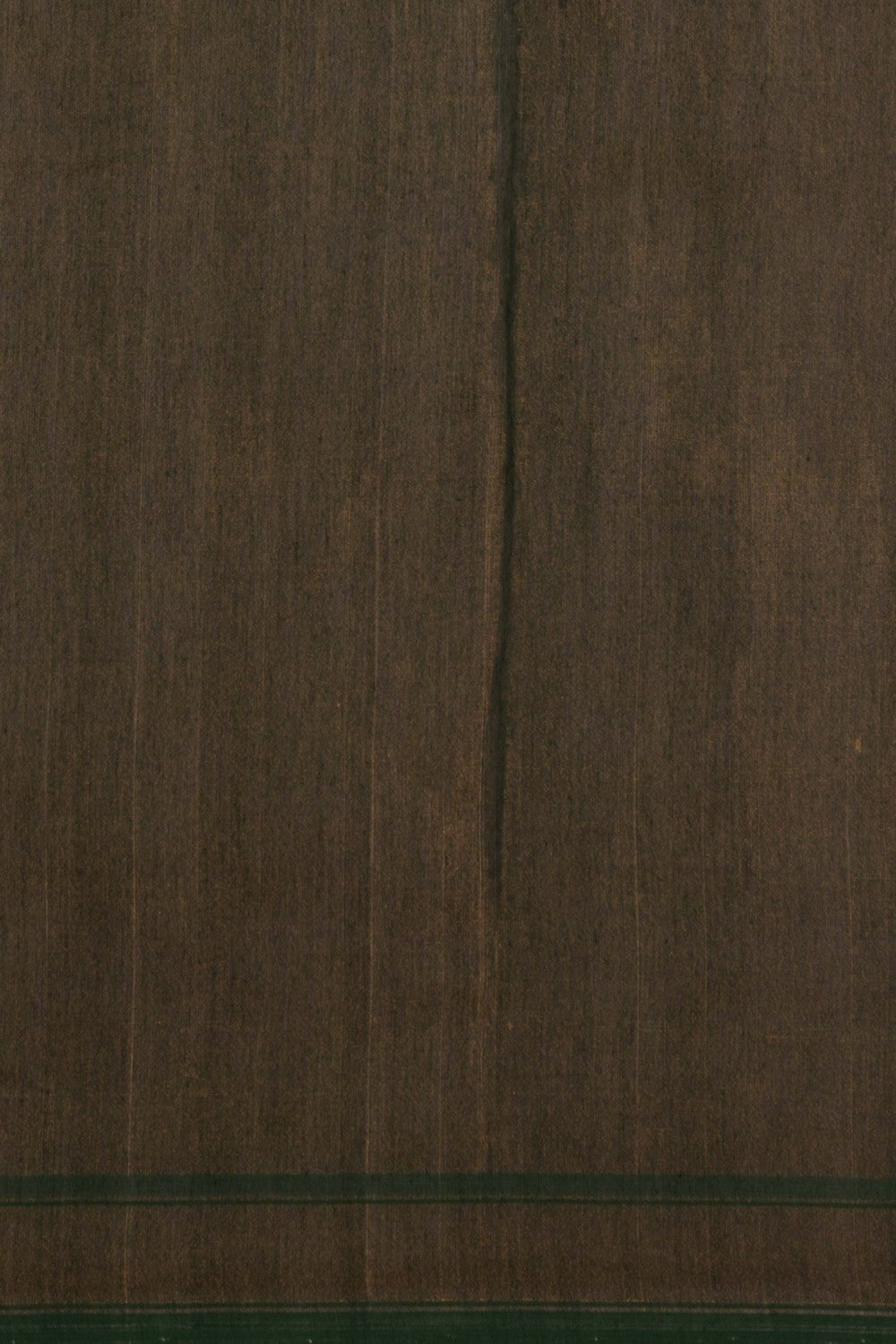 Image of Rajkot Patola Tissue Silk Green Saree