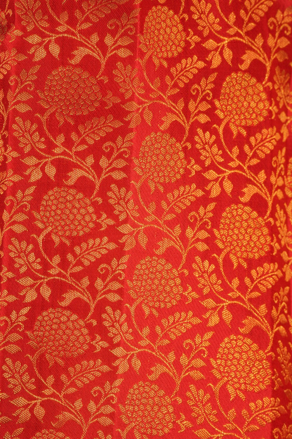 Image of Kanchipattu Brocade Red Saree