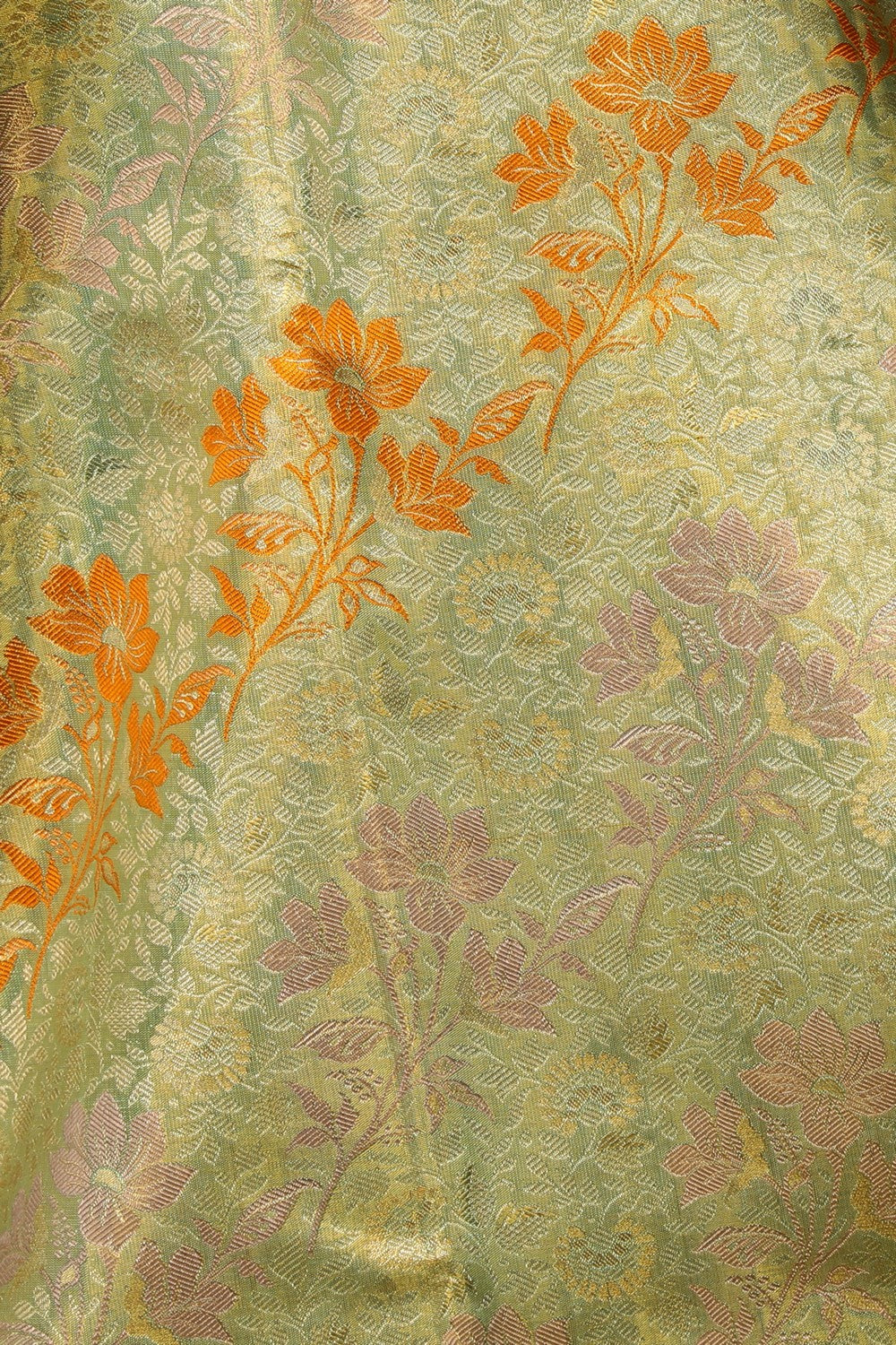 Image of Kanchipattu Tissue Brocade Saree