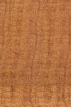 Image of A Printed Silk Saree