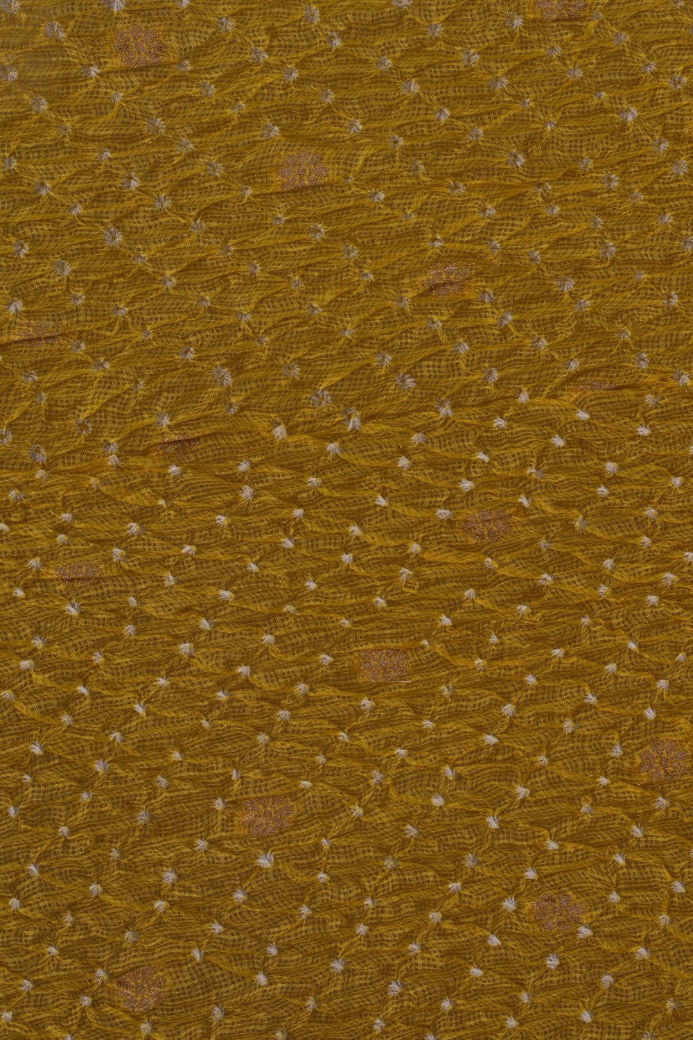 Kota-Bandhani Saree With Paithani Border