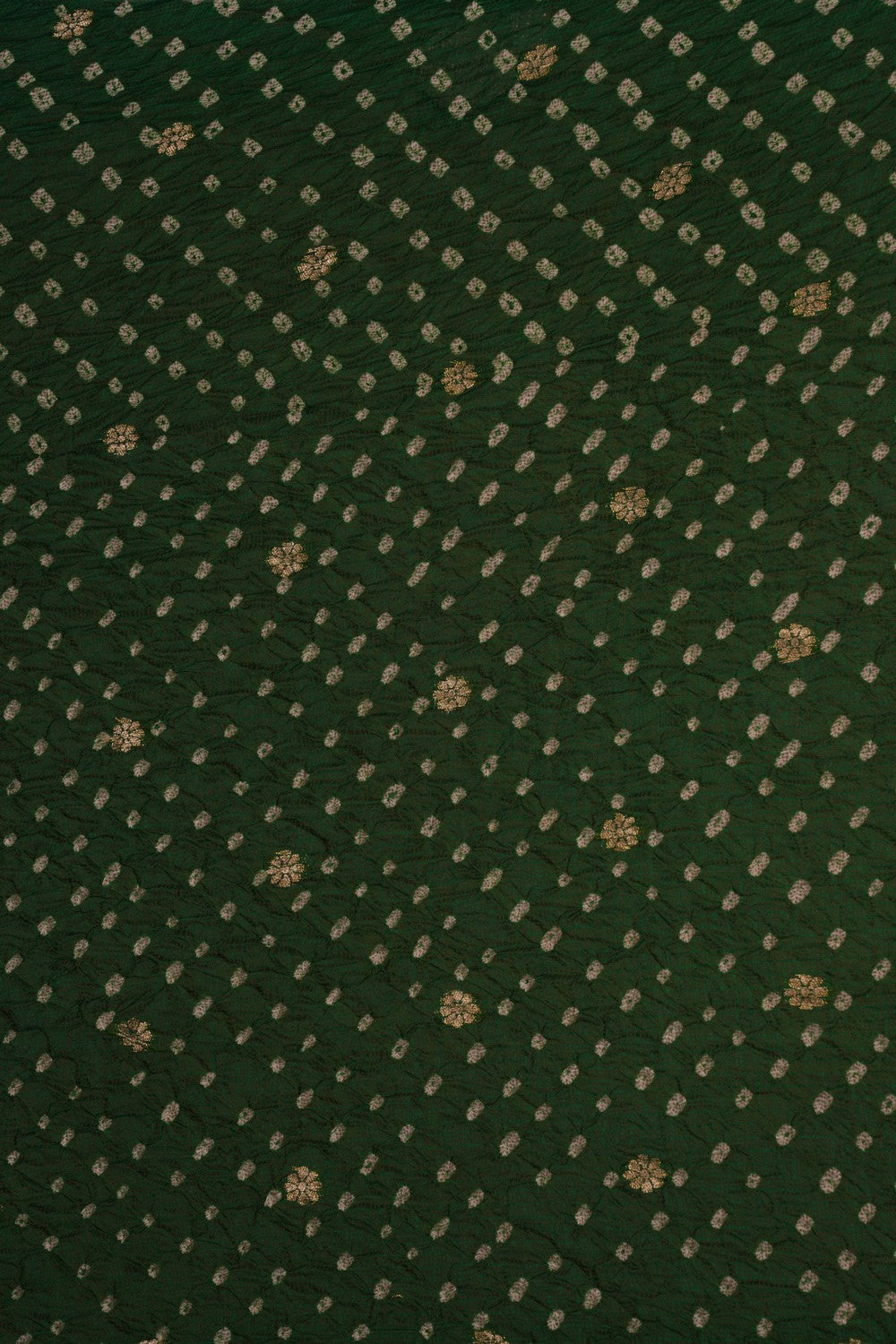 Kota-Bandhani Saree With Paithani Border