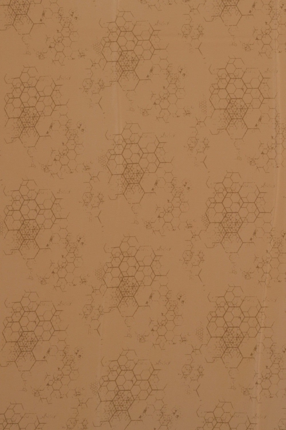 Image of A Floral Printed Saree