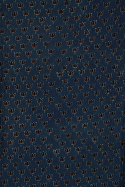 Image of Bagru Geometric Printed Saree