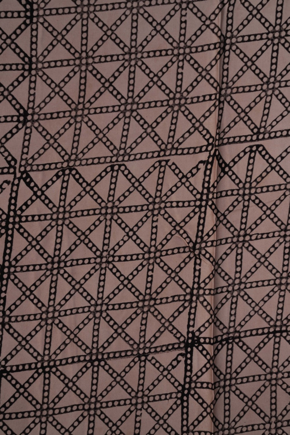 Image of Bagru Geometric Printed Saree