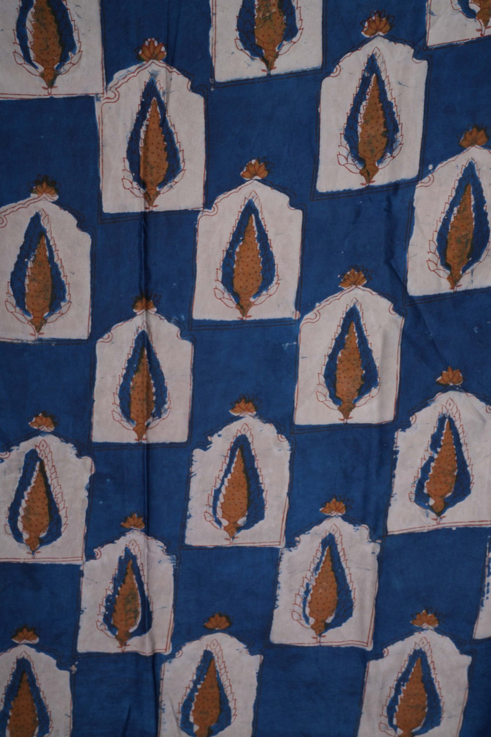 Image of Bagru Block Printed Saree