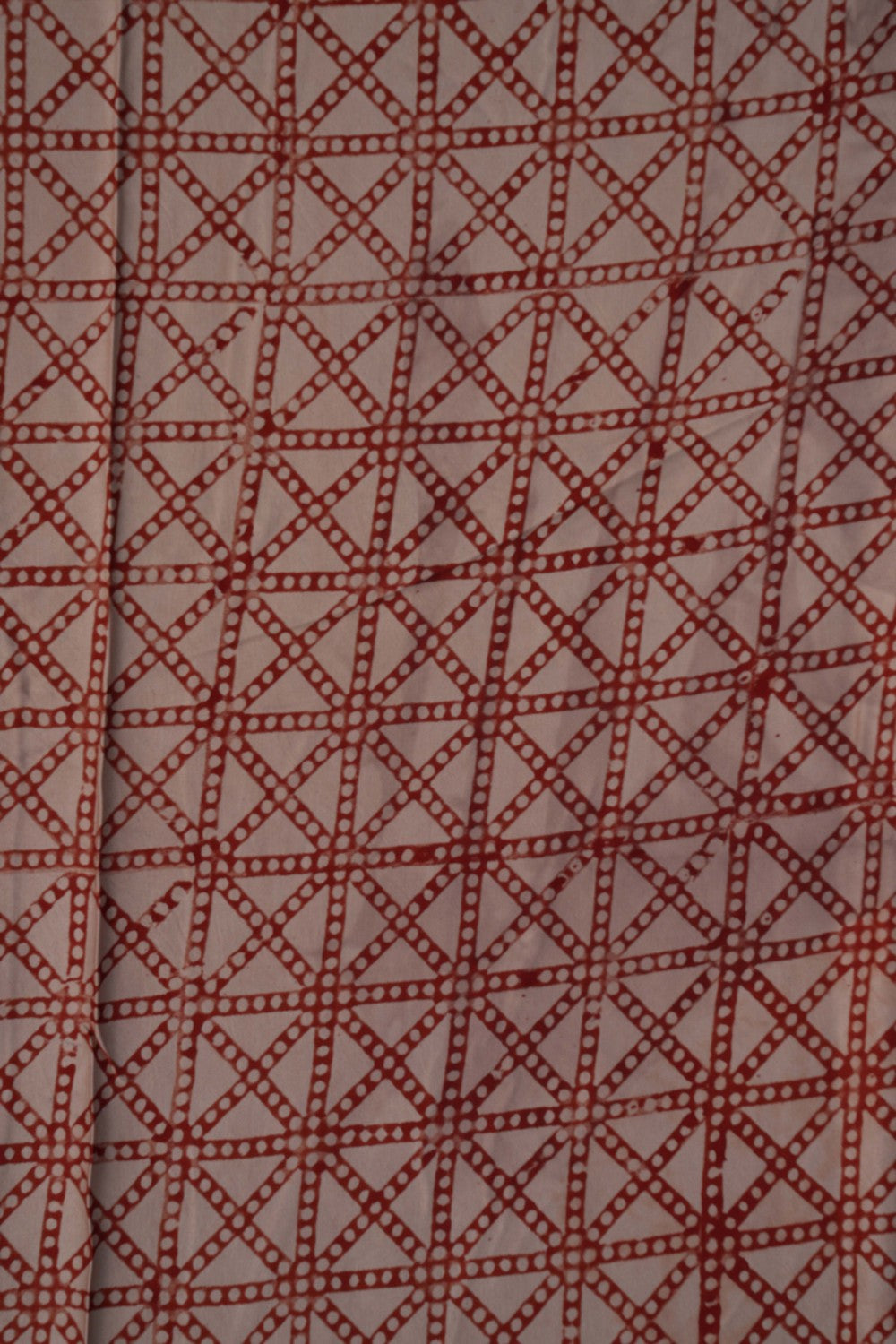 Image of Bagru Geometric Printed Saree