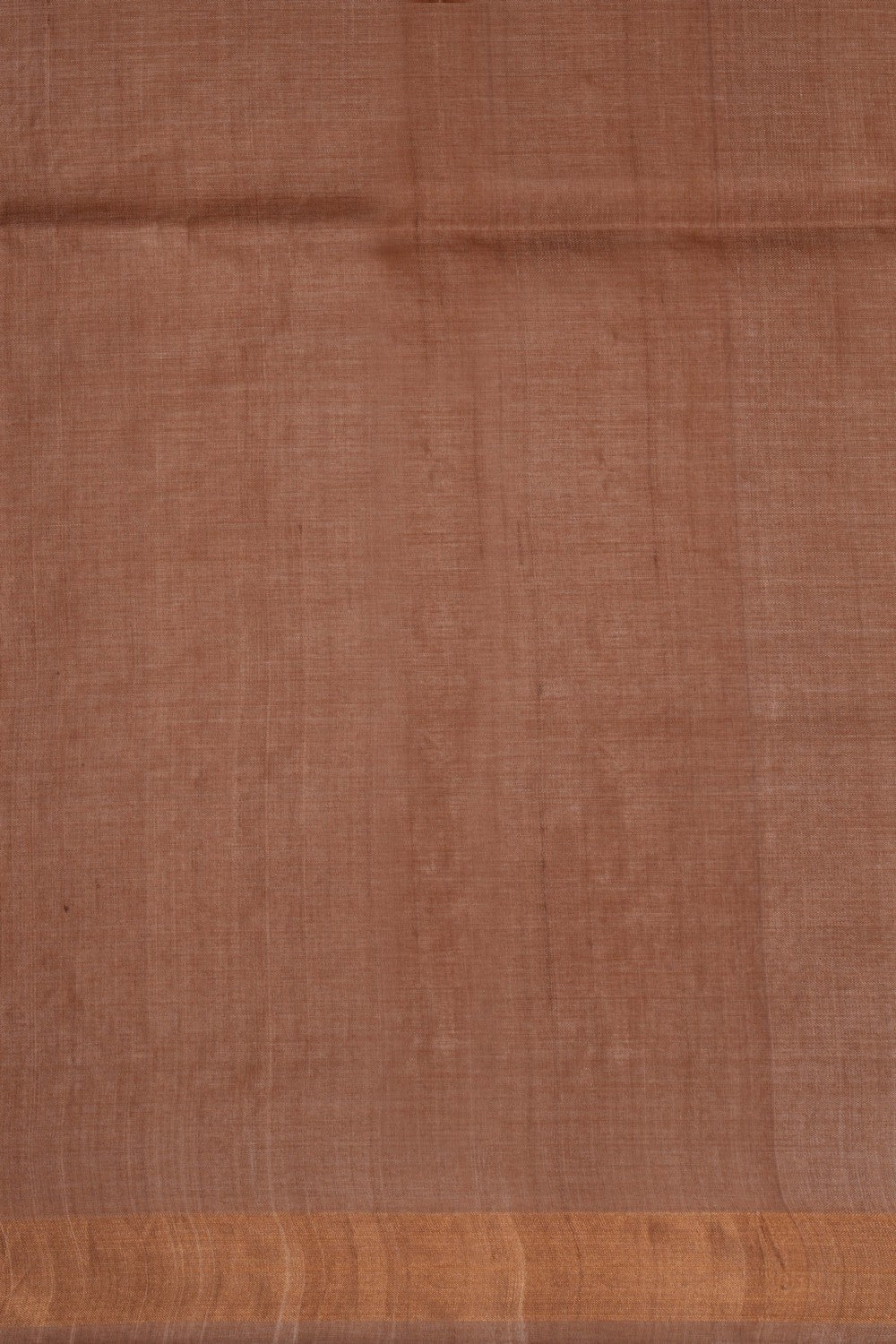 Image of A Tussar Zari Motif Saree