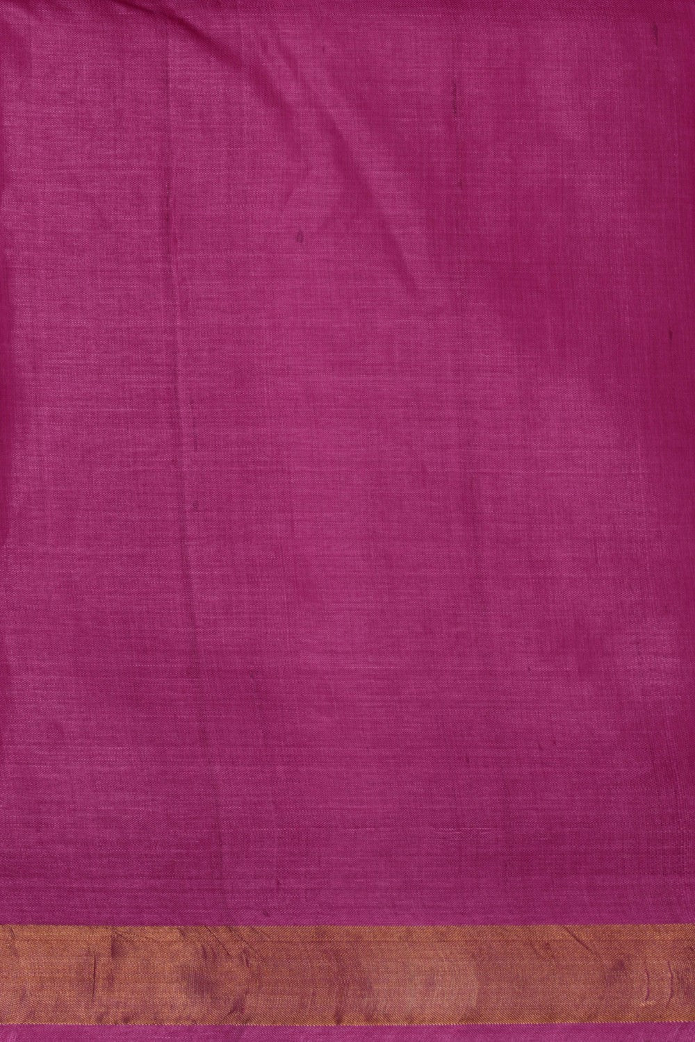 Image of A Tussar Zari Motif Saree