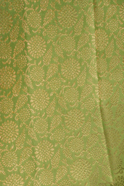 Image of Kanchipattu Brocade Green Saree