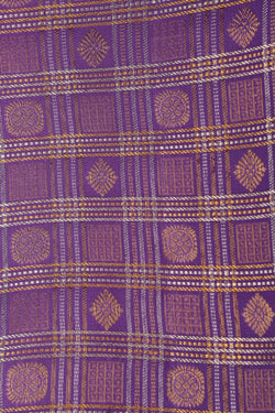 Image of Kanchipattu Kattam Purple Saree