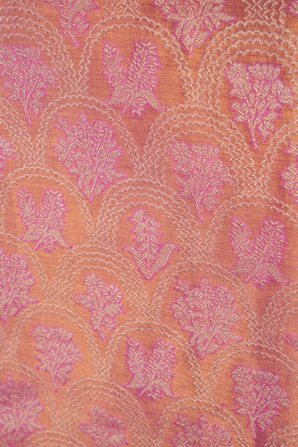 Image of Kanchipattu Tissue Brocade Saree