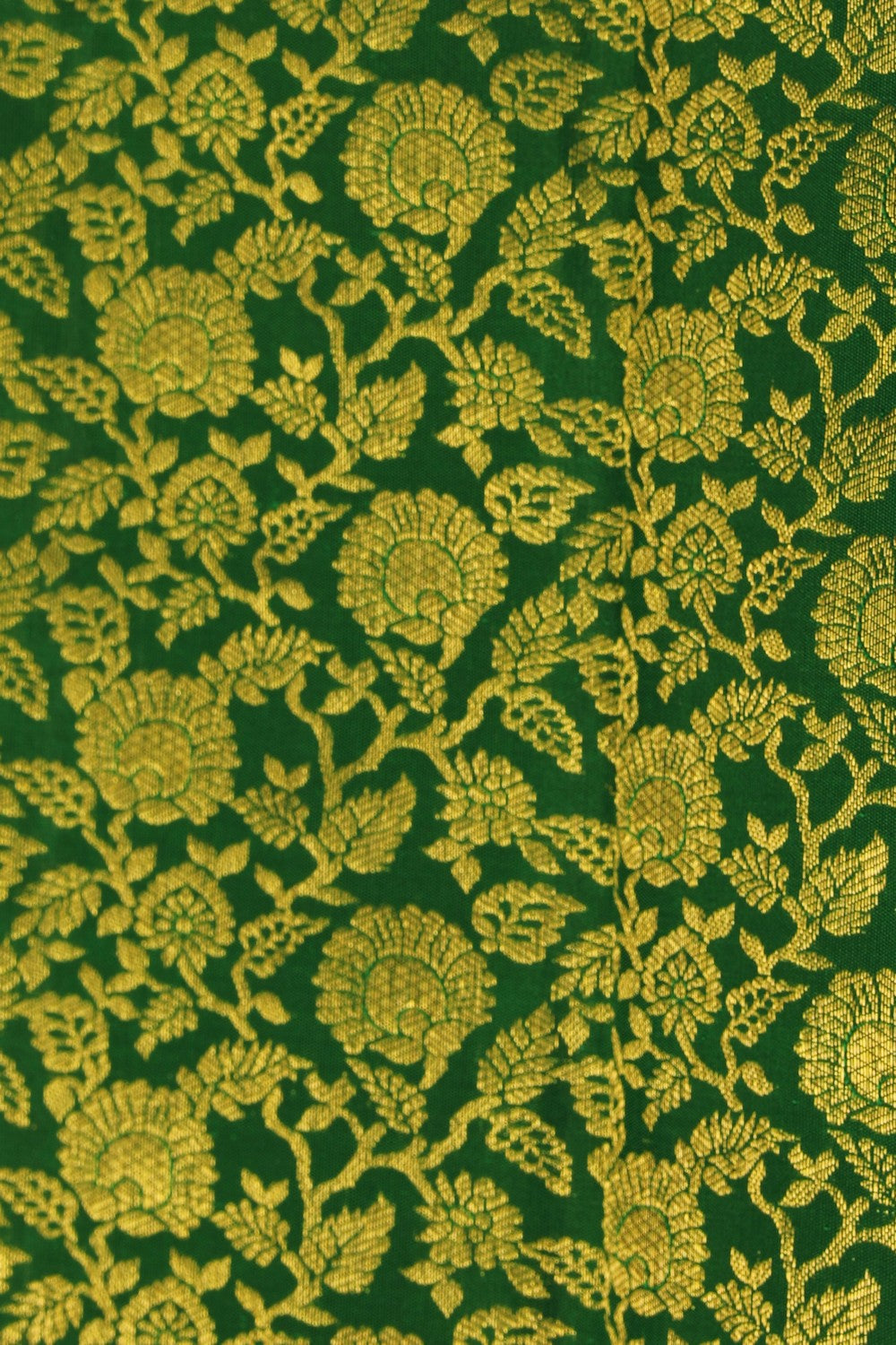 Image of Kanchipattu Brocade Green Saree