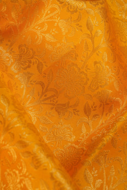 Image of Kanchipattu Tissue Brocade Saree