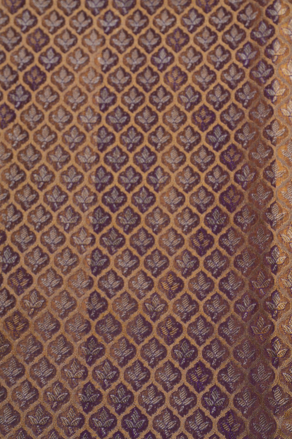 Image of A Glossy Gold Brocade Kanchipattu Saree