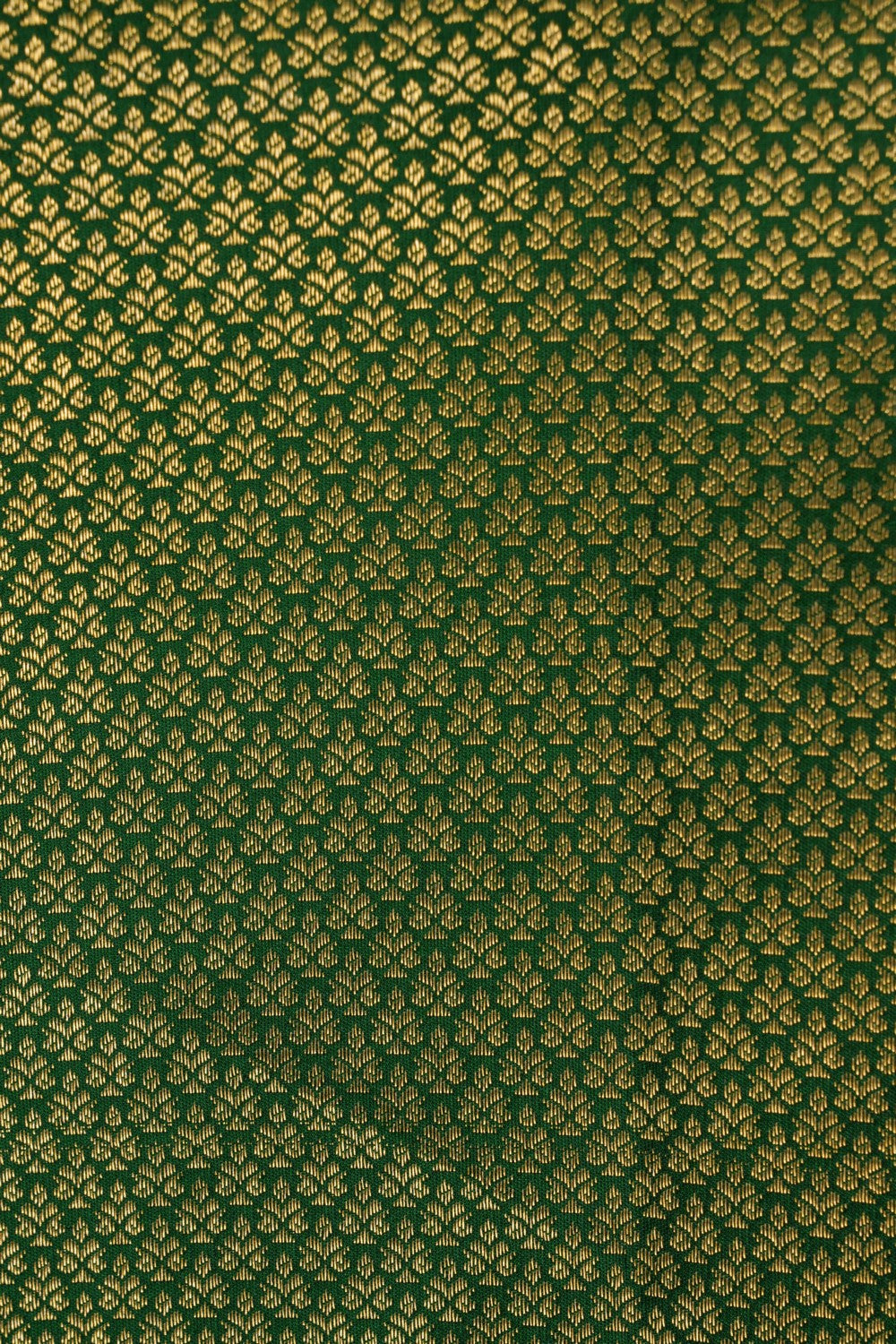 Image of Green Brocade Kanchipattu Saree