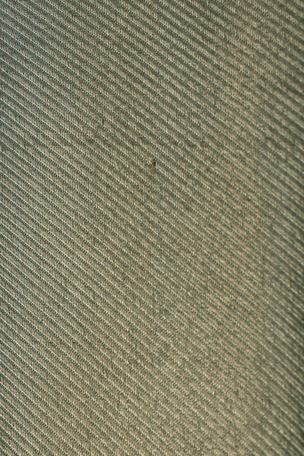 Image of Kanchipattu Gold Tissue Brocade A Rich, Luminous Sheen Saree