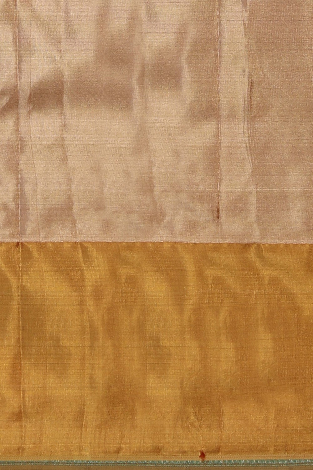 Image of Kanchipattu Gold Tissue Brocade A Rich, Luminous Sheen Saree