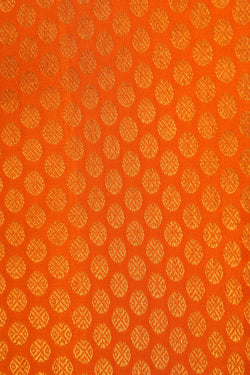 Image of Kanchipattu Brocade Orange Saree