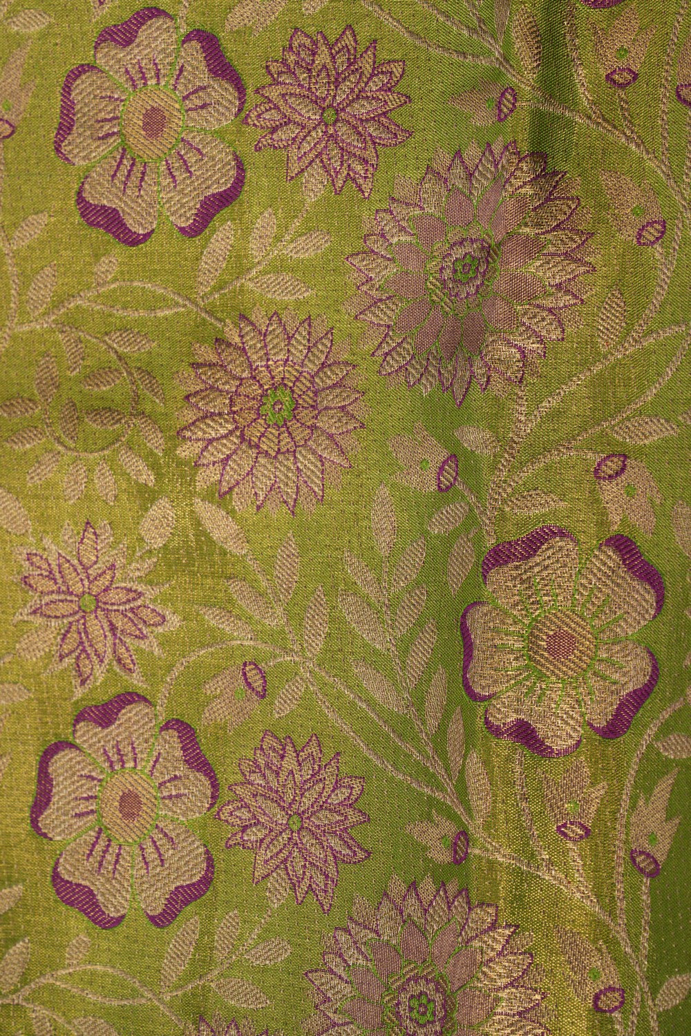 Kanchipattu Tissue Brocade Green Saree