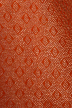 Image of Kanchipattu Brocade Orange Saree