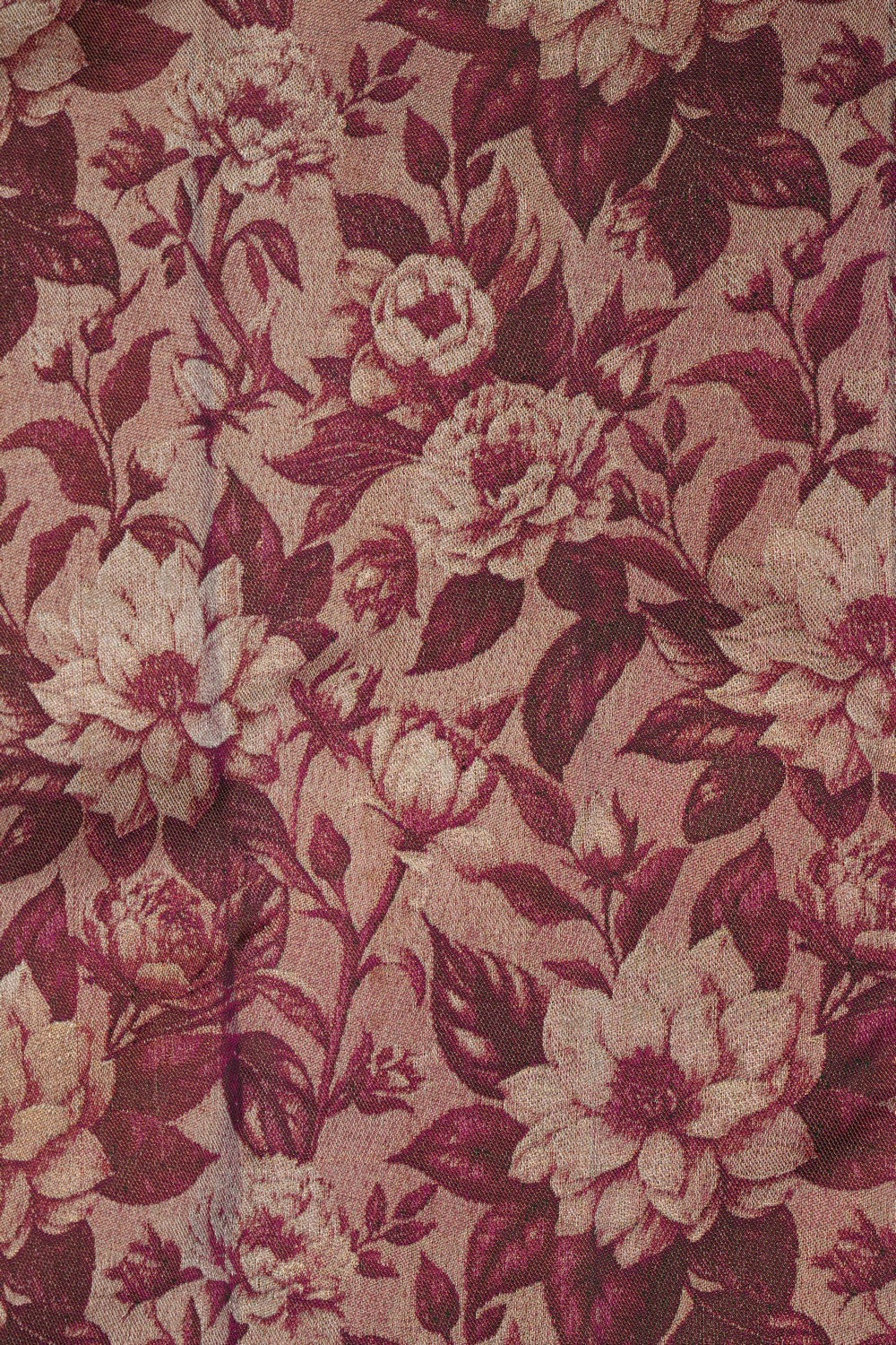 Image of Kanchipattu Brocade Saree