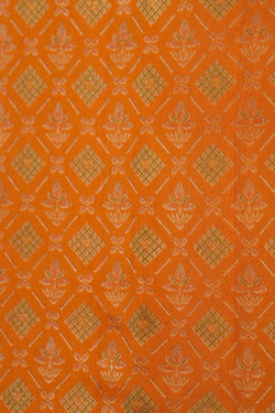 Image of Kanchipattu Brocade Orange Saree