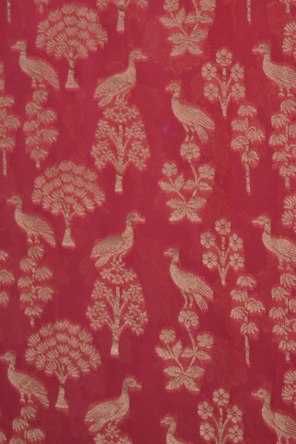 Image of Banarasi Georgette Coral Pink Saree