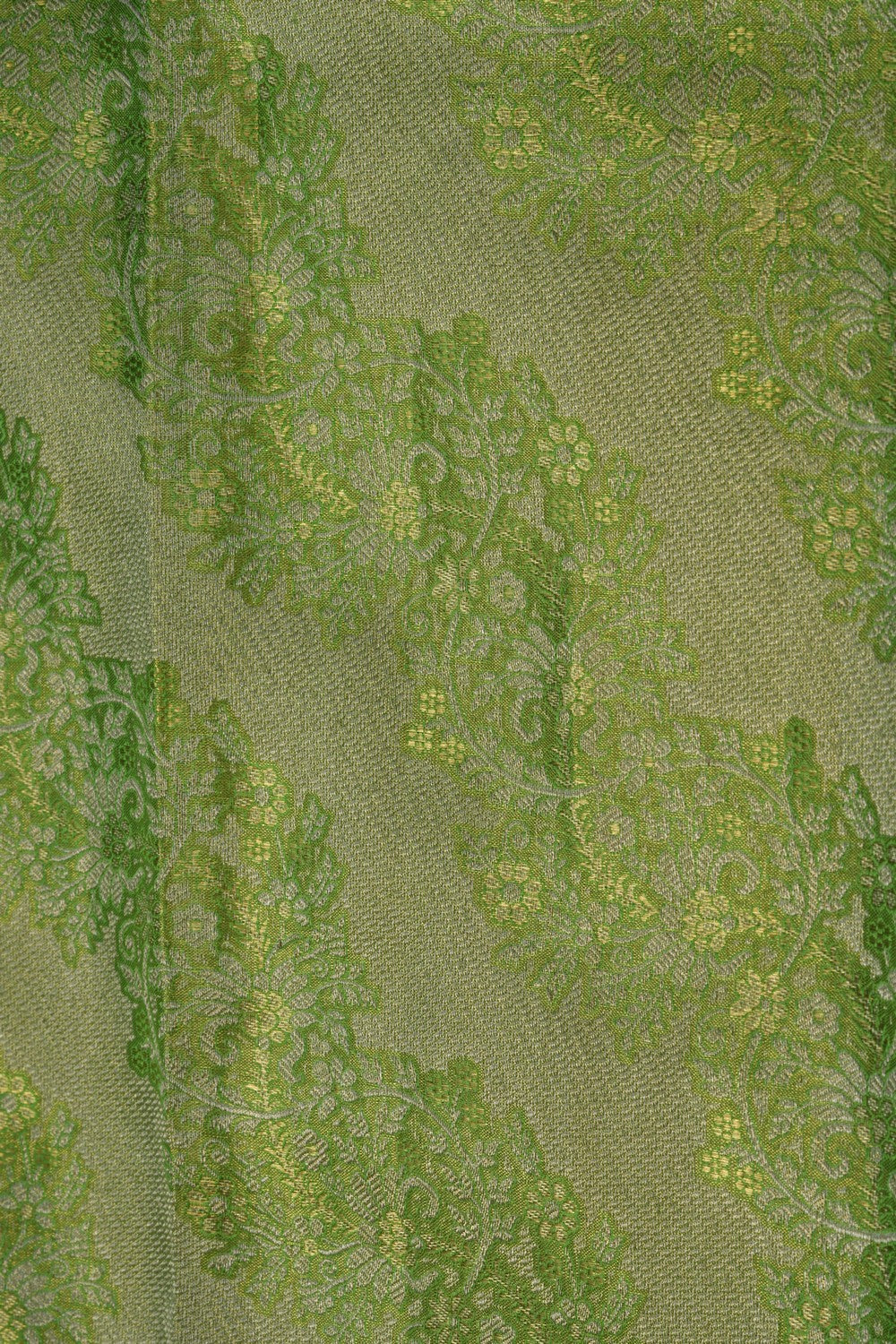 Kanchipattu Tissue Brocade Green Saree