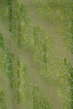 Image of Kanchipattu Tissue Brocade Green Saree