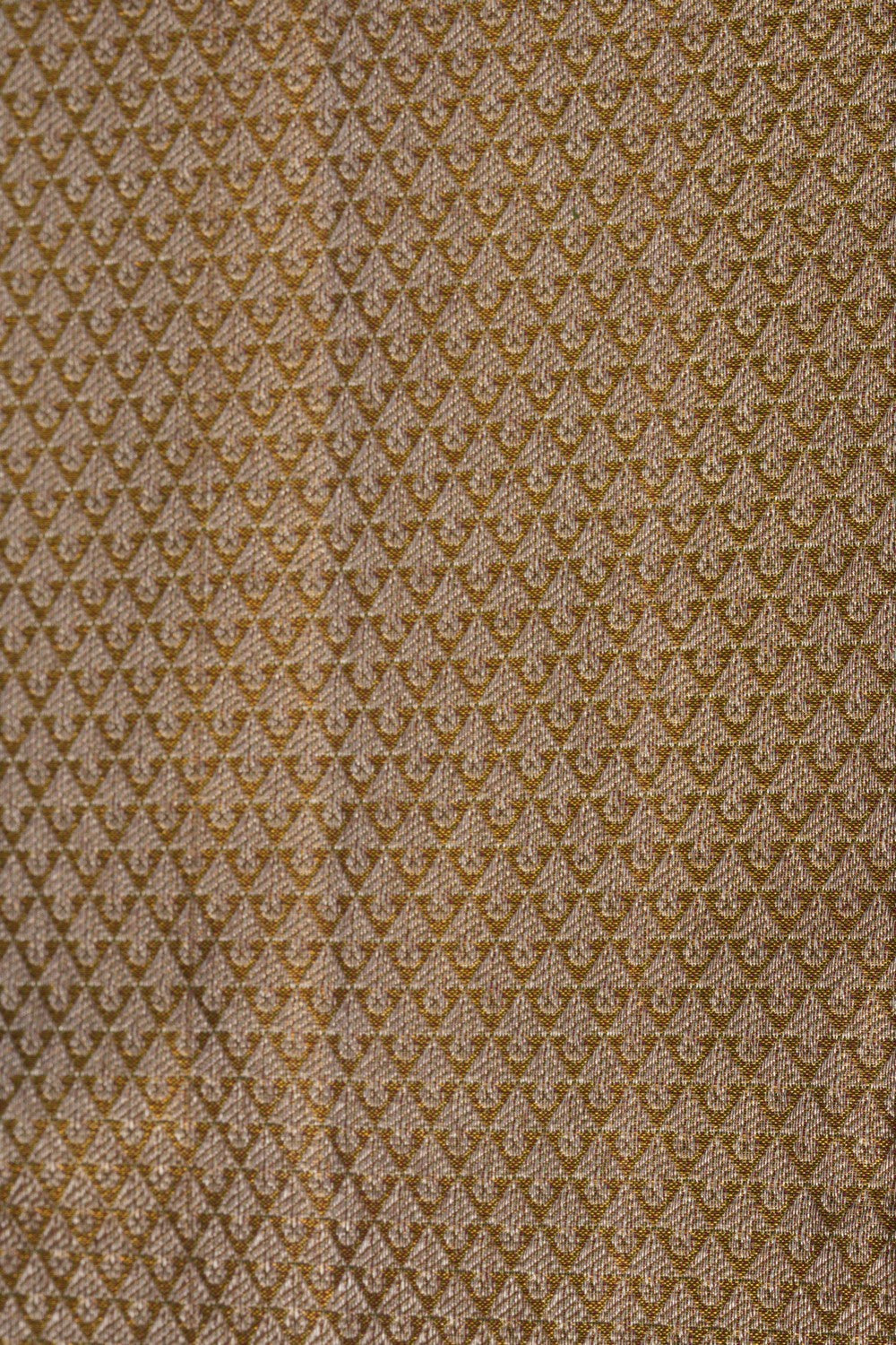 Kanchipattu Tissue Brocade Gold Saree